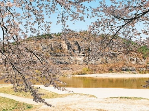 ���� ����4