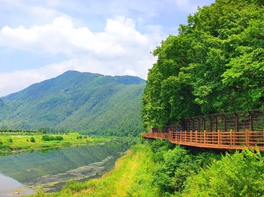 ���� ����4