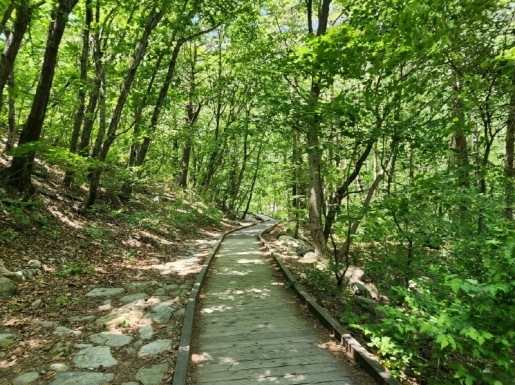 ���� ����3