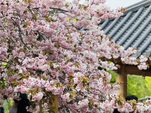 ���� ����3