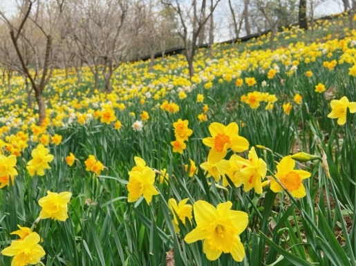 ���� ����6