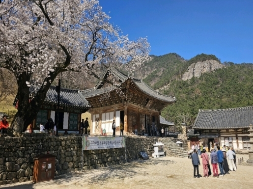 ���� ����7