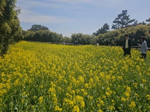 ���� ����2