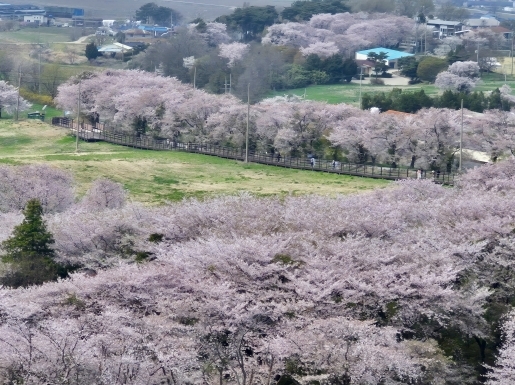 ���� ����5